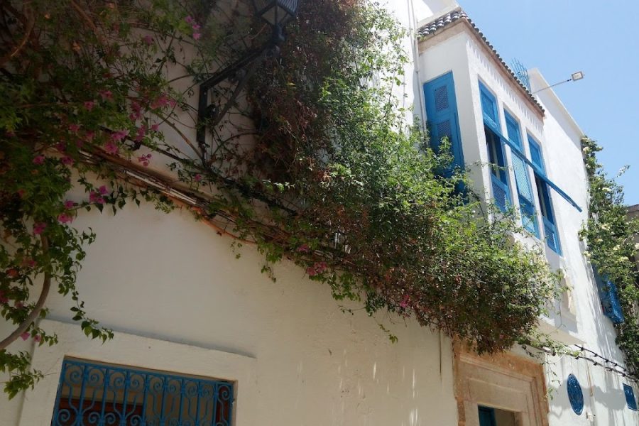 El Patio Courtyard House