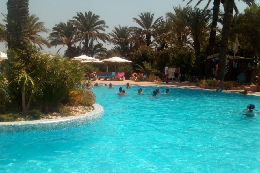 Hôtel Les Palmiers (Ennakhil)