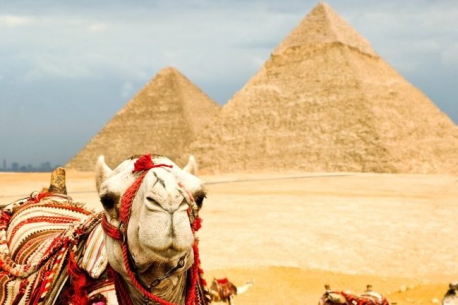 l’Égypte